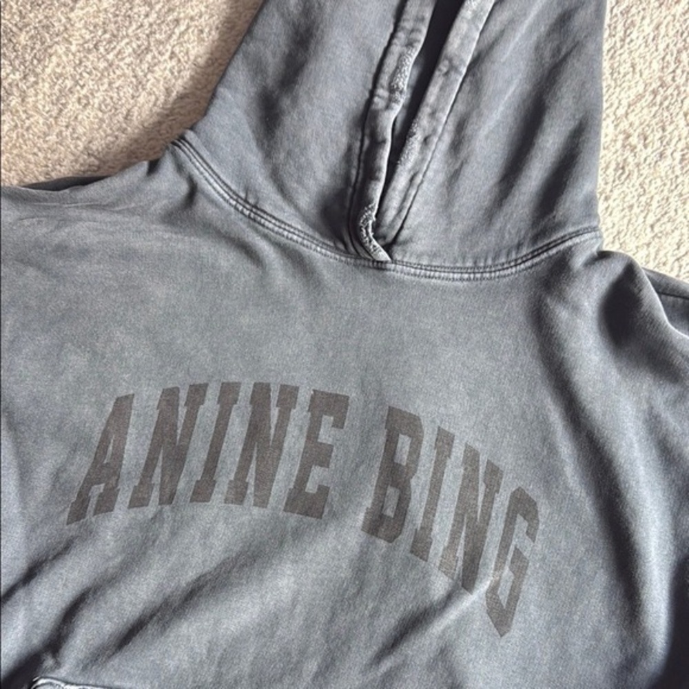 Anine Bing Charcoal Hoodie